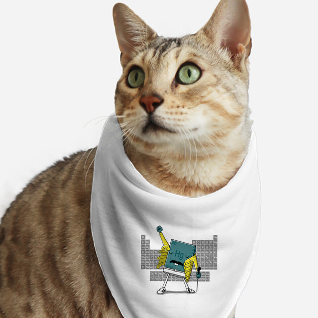 Freddie Mercury-cat bandana pet collar-Wirdou
