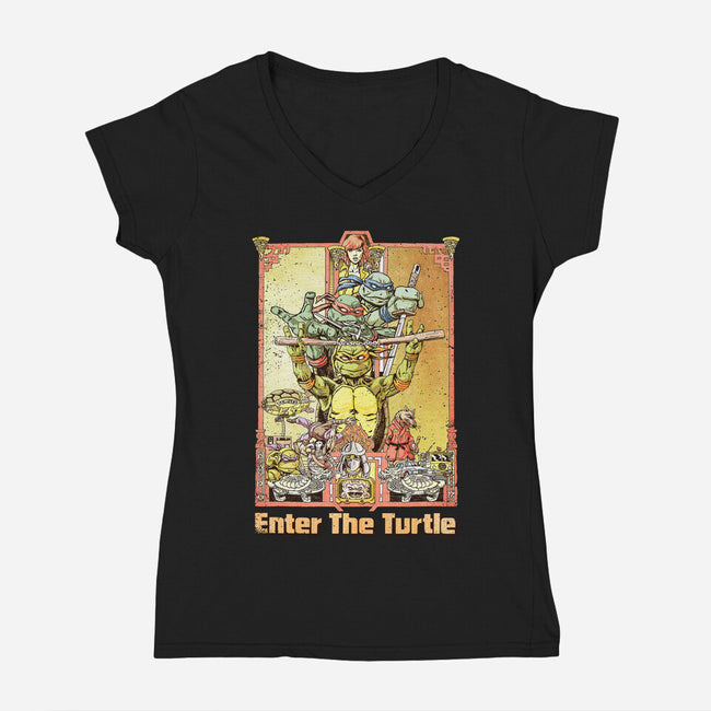 Enter the Turtle-womens v-neck tee-FunTimesTees