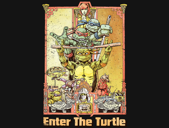 Enter the Turtle