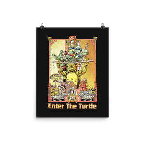 Enter the Turtle