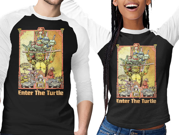 Enter the Turtle