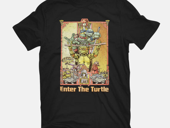 Enter the Turtle