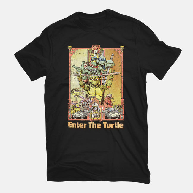 Enter the Turtle-mens heavyweight tee-FunTimesTees