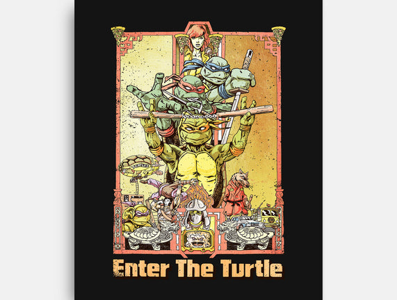 Enter the Turtle