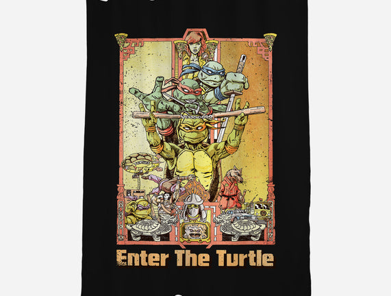 Enter the Turtle
