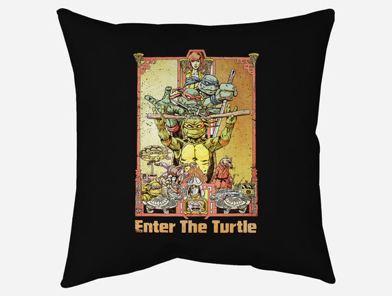 Enter the Turtle