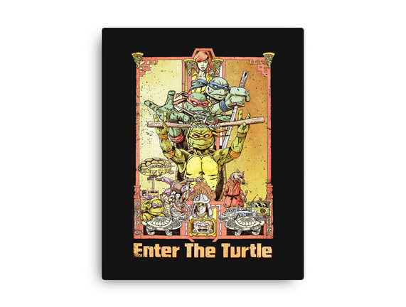 Enter the Turtle