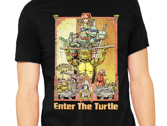 Enter the Turtle