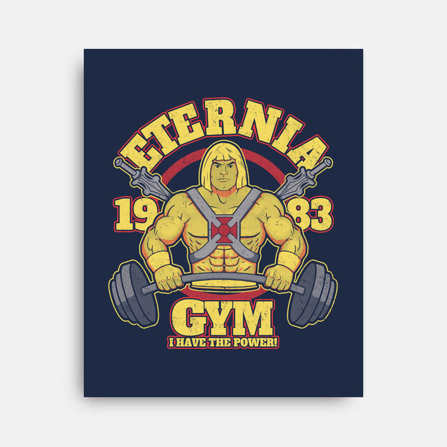 Eternia Gym-none stretched canvas-jozvoz