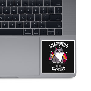 Disappointed but not Surprised