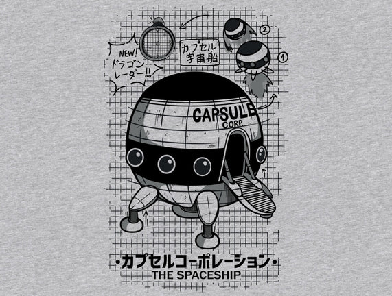 Capsule Spaceship
