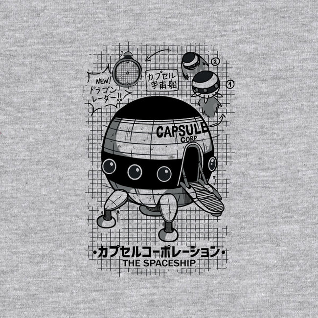 Capsule Spaceship-youth crew neck sweatshirt-pescapin
