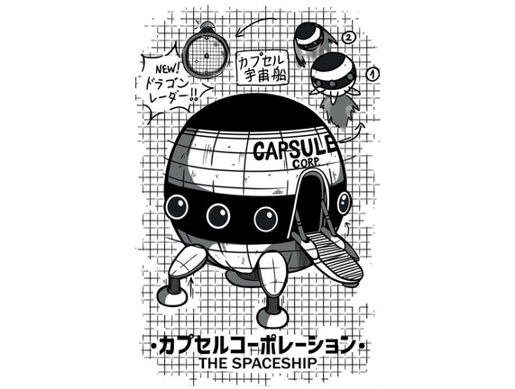Capsule Spaceship