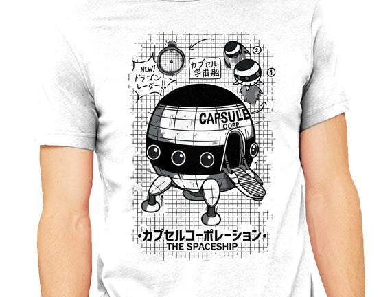 Capsule Spaceship