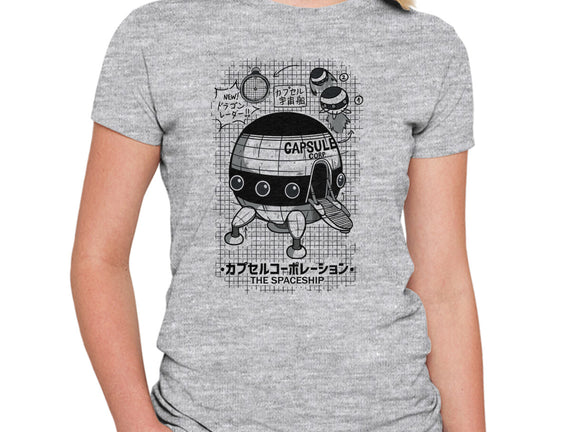 Capsule Spaceship