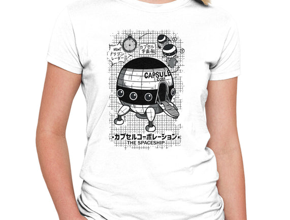 Capsule Spaceship