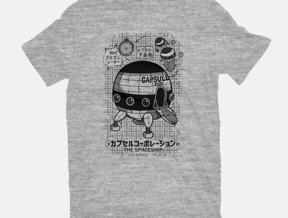 Capsule Spaceship