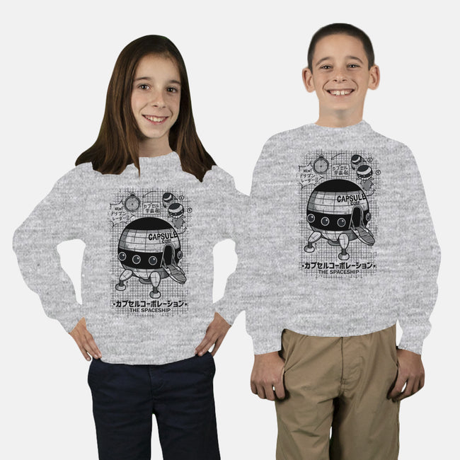 Capsule Spaceship-youth crew neck sweatshirt-pescapin