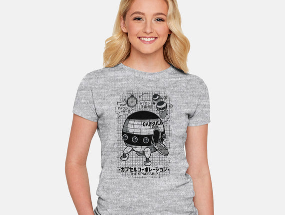 Capsule Spaceship