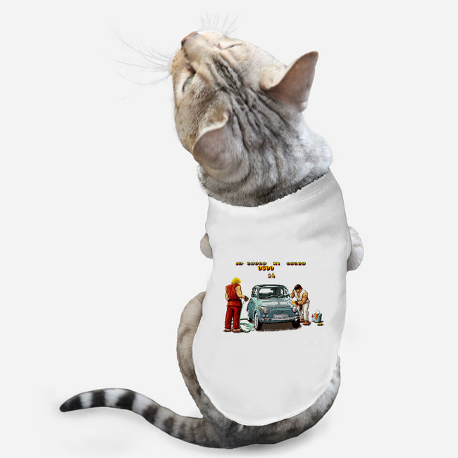 Car Wash Bonus Stage-cat basic pet tank-verrrso