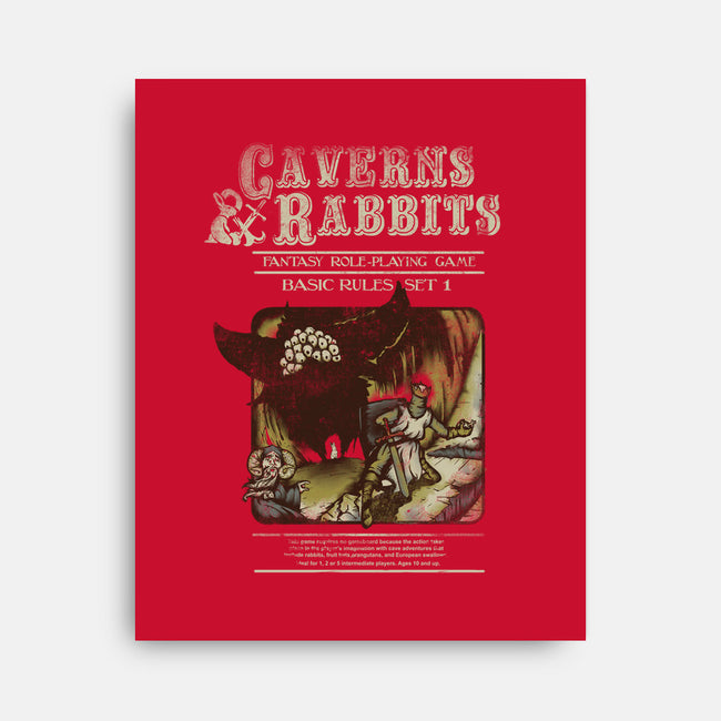 Caverns & Rabbits-none stretched canvas-Creative Outpouring