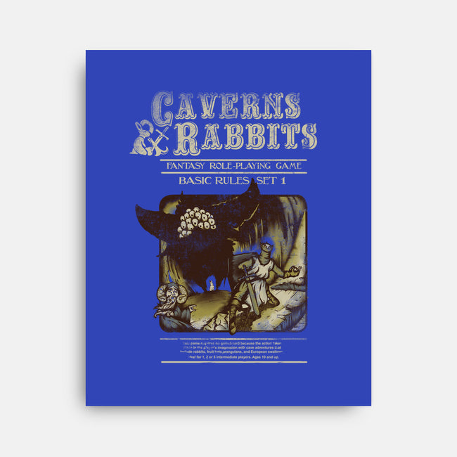 Caverns & Rabbits-none stretched canvas-Creative Outpouring