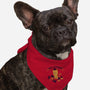 Chaos Coordinator-dog bandana pet collar-tobefonseca