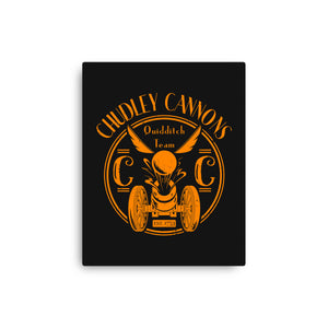 Chudley Cannons