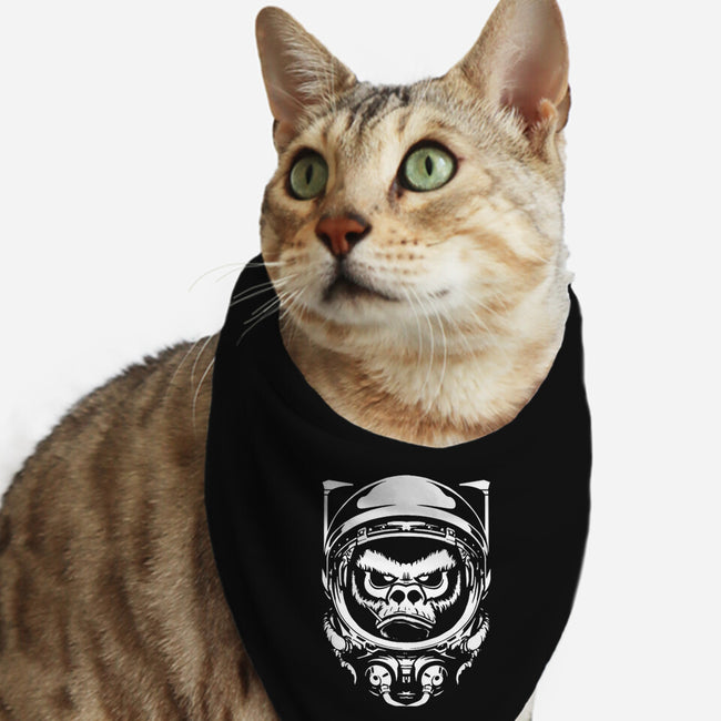 Cosmic Monkey-cat bandana pet collar-Immortalized