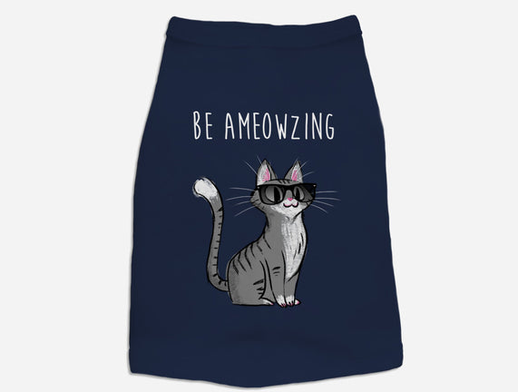 Be Ameowzing