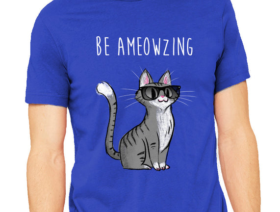 Be Ameowzing