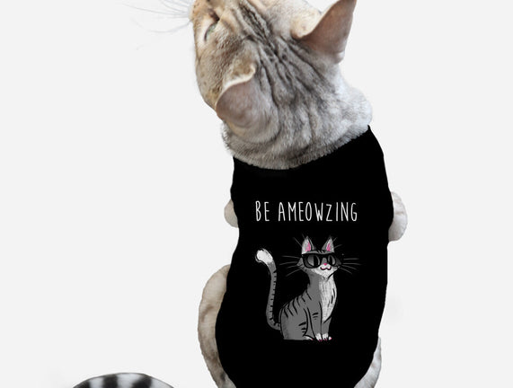 Be Ameowzing