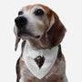Black Warrior-dog adjustable pet collar-alemaglia