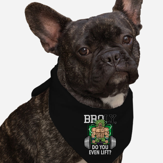BROLIFTING-dog bandana pet collar-Boggs Nicolas