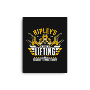Building Better Bodies