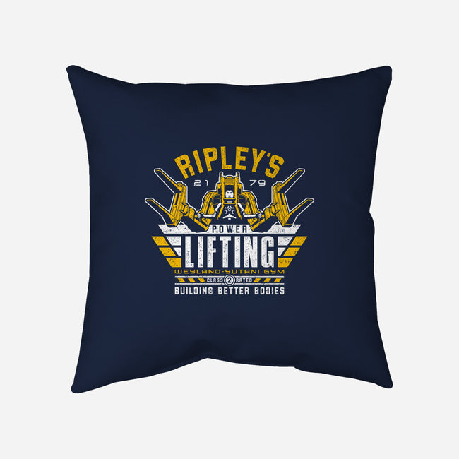 Building Better Bodies-none removable cover w insert throw pillow-adho1982