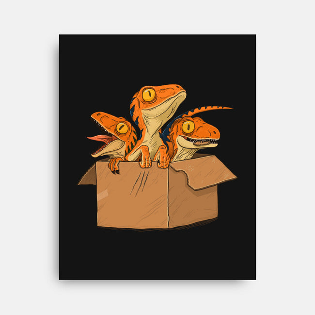 Adopt a Raptor-none stretched canvas-ppmid