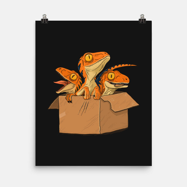 Adopt a Raptor-none matte poster-ppmid