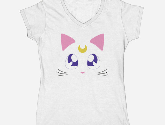 Advisor Cat