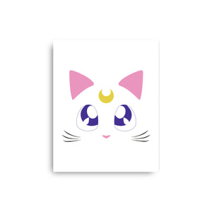 Advisor Cat