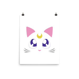 Advisor Cat