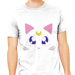 Advisor Cat