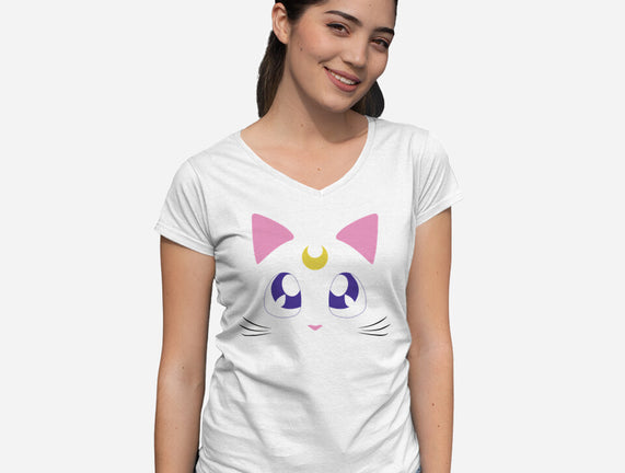 Advisor Cat