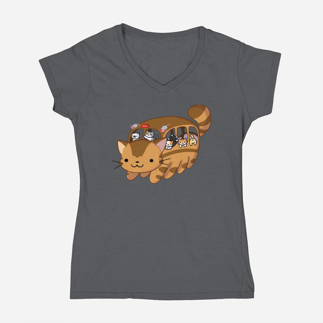 All Aboard-womens v-neck tee-kpcomix