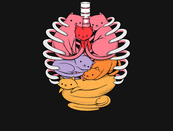 Anatomicat