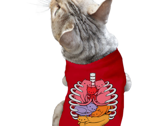 Anatomicat