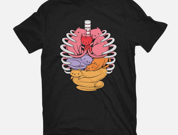 Anatomicat