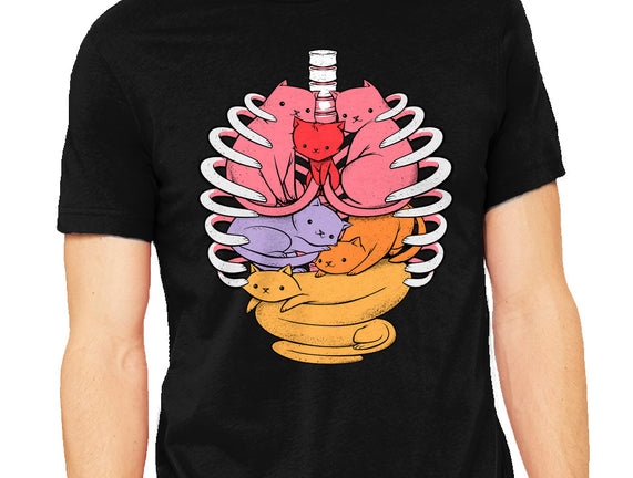 Anatomicat