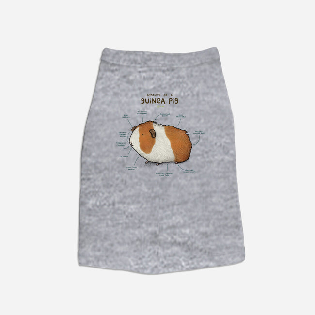 Anatomy of a Guinea Pig-cat basic pet tank-SophieCorrigan