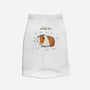 Anatomy of a Guinea Pig-cat basic pet tank-SophieCorrigan